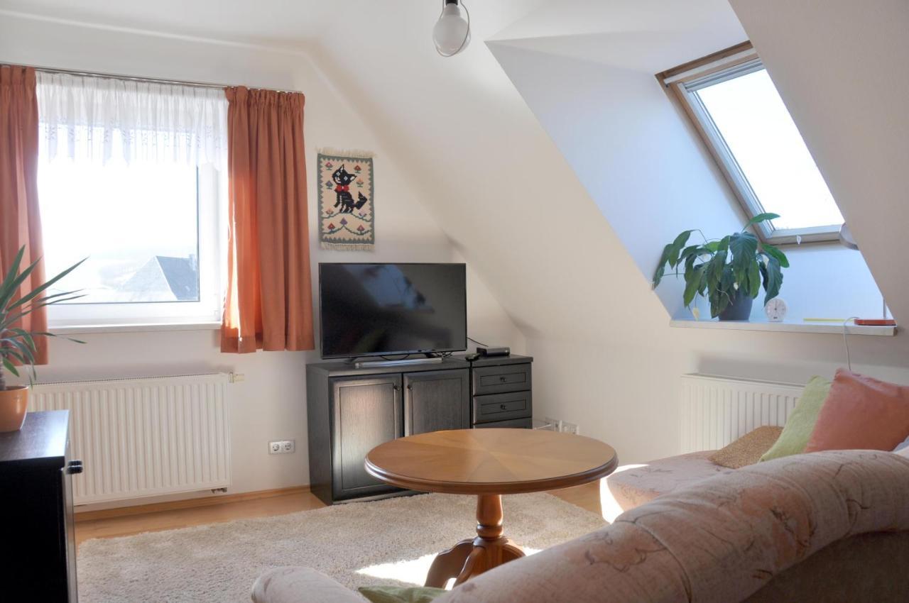 Clausnitz Atelier Gruenfink Ferienwohnung מראה חיצוני תמונה