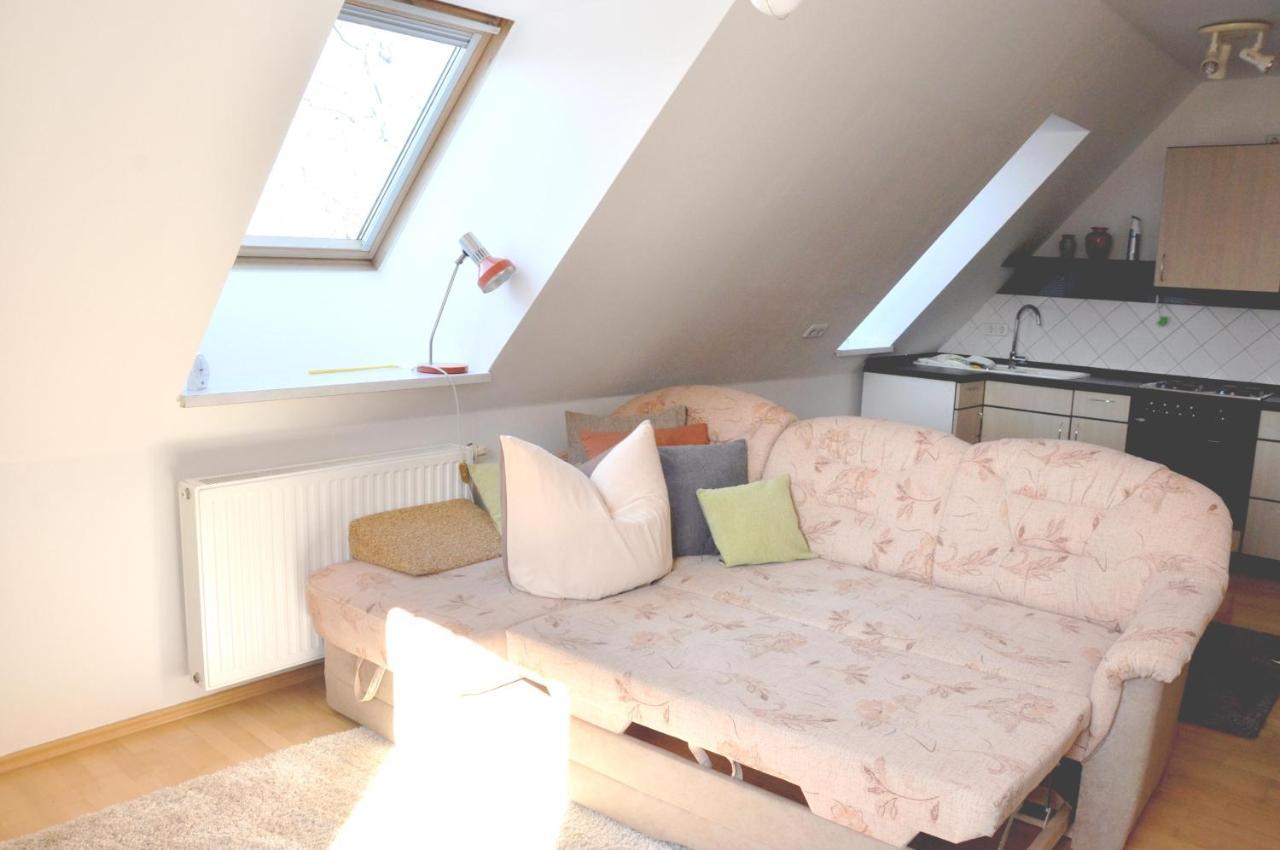 Clausnitz Atelier Gruenfink Ferienwohnung מראה חיצוני תמונה