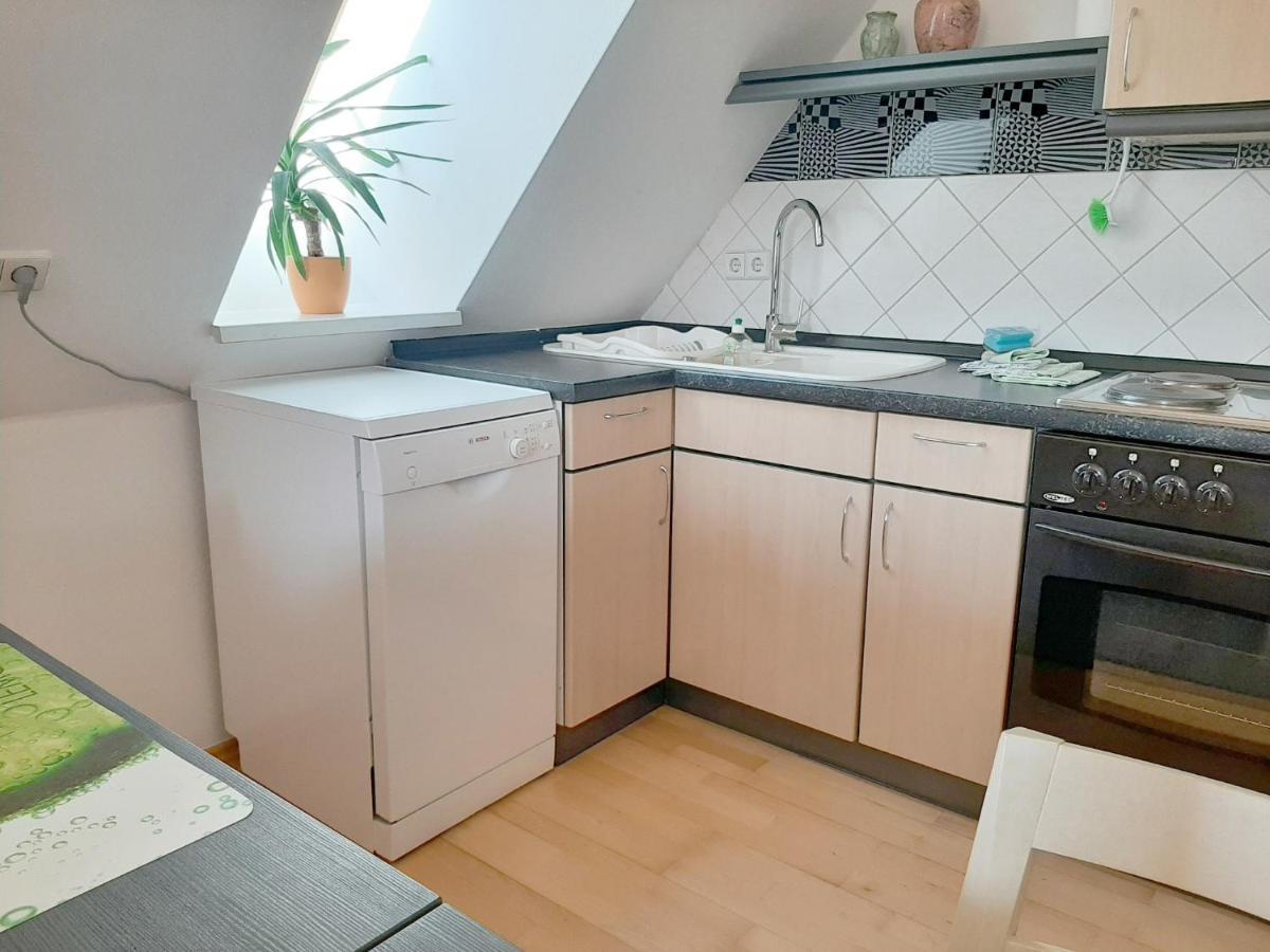 Clausnitz Atelier Gruenfink Ferienwohnung מראה חיצוני תמונה