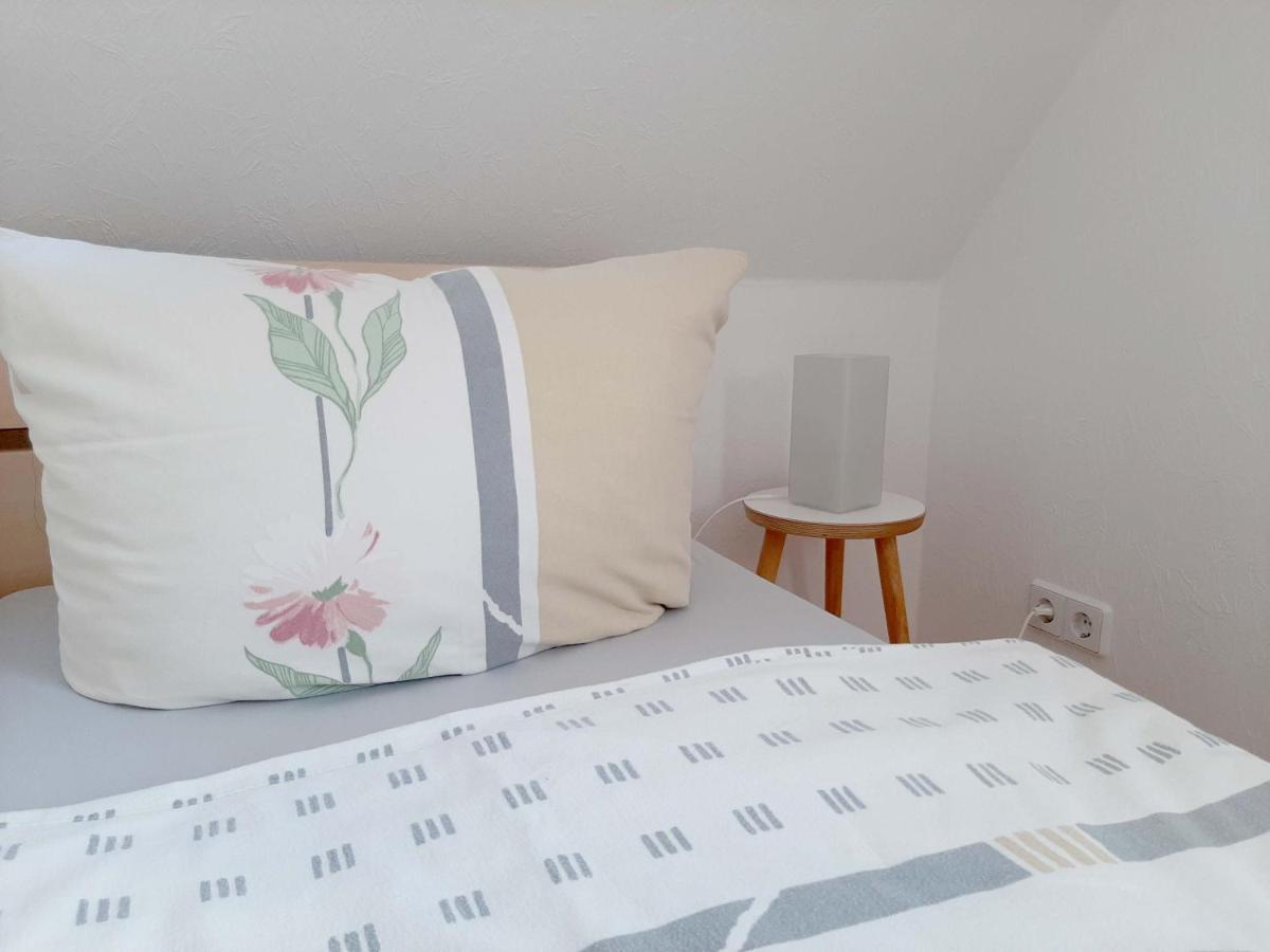 Clausnitz Atelier Gruenfink Ferienwohnung מראה חיצוני תמונה